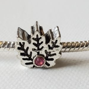 Charm. NWOT.  Fits in Pandora snake chain Bracelet